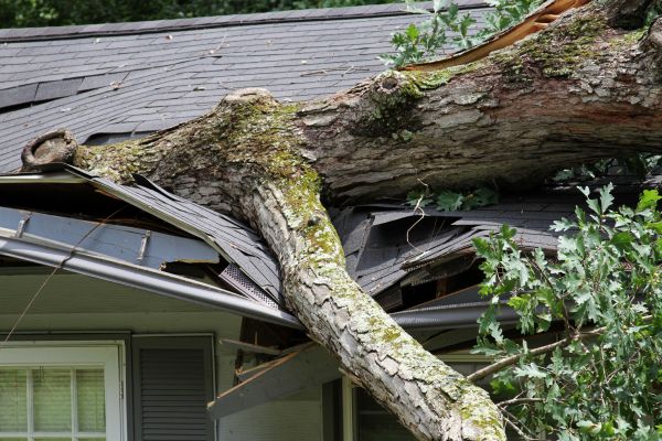 Storm Remediation in Andover