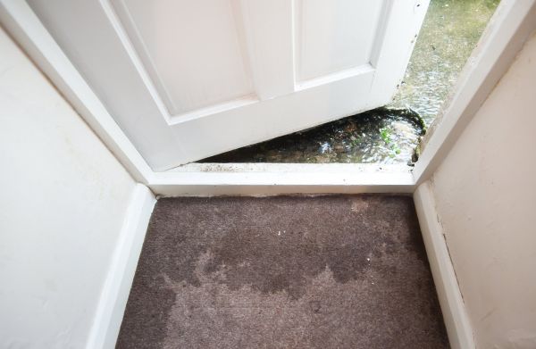 Wet Carpet Restoration in Andover