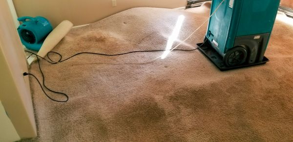 Carpet Water Extraction in Andover