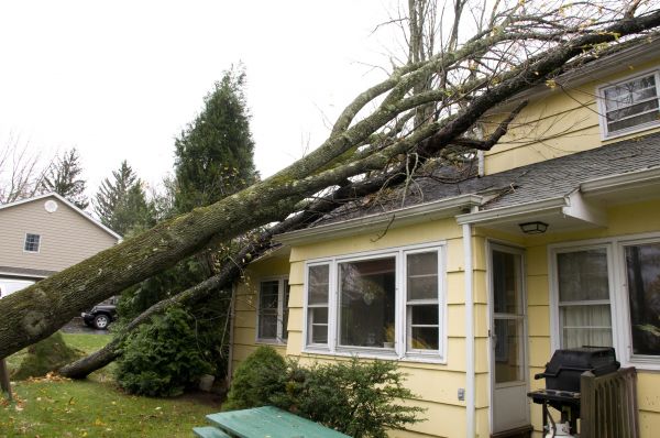 Hurricane Damage Repair in Andover